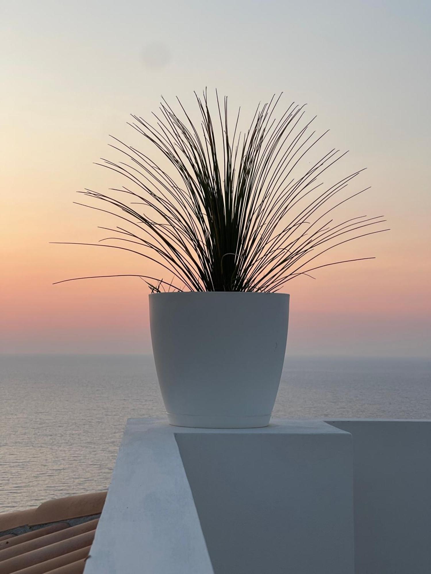 Villa Sofia *Luxury Experience In Calabria Дзамброне Екстериор снимка